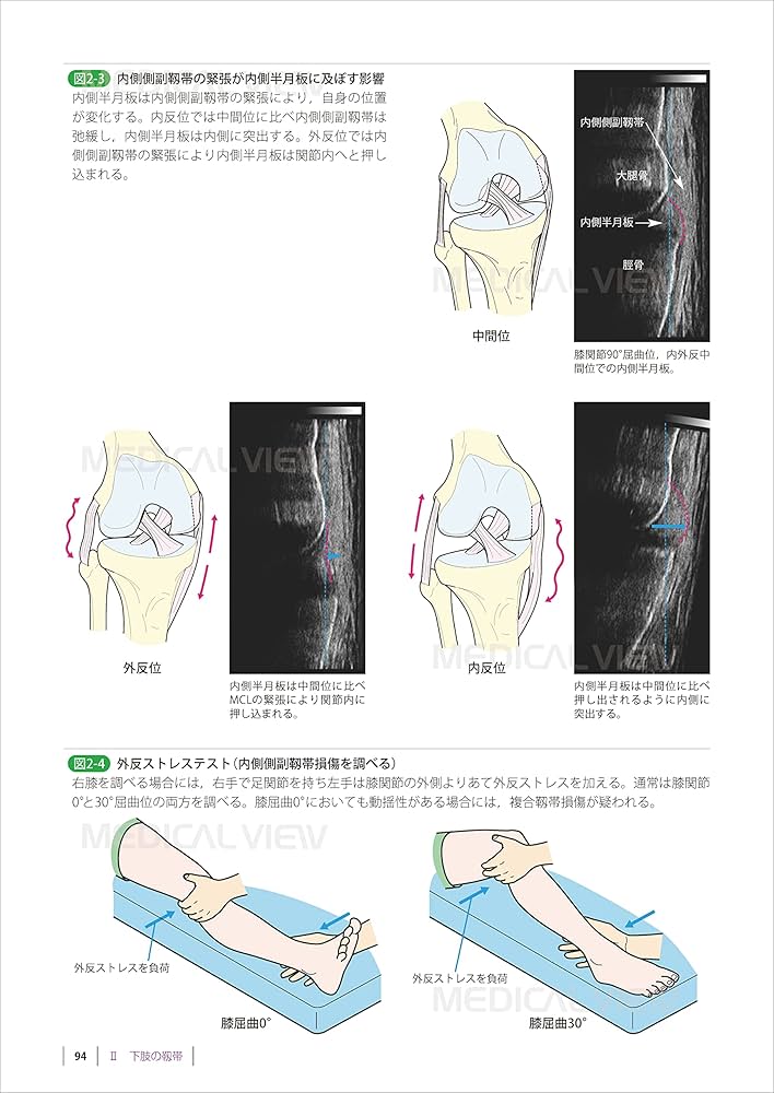 運動療法のための 機能解剖学的触診技術 動画プラス 下肢・体幹−改訂