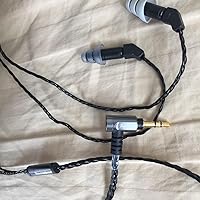 Amazon.co.jp: 【国内正規品】 Etymotic Research イヤホン ER-4S-B