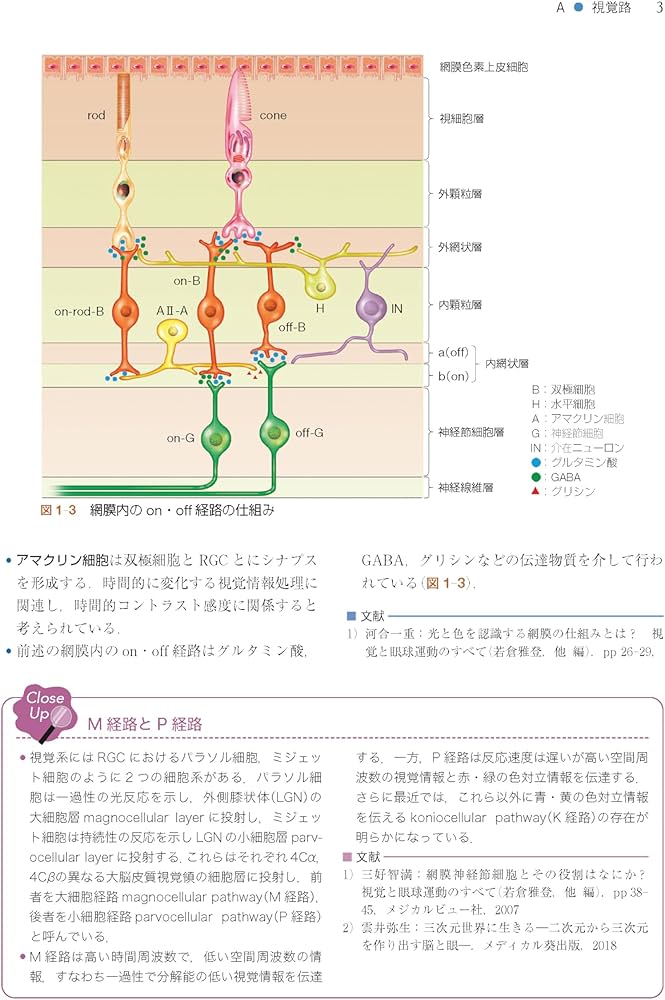 Amazon.co.jp: 神経眼科学を学ぶ人のために 第4版 : 三村 治: Japanese