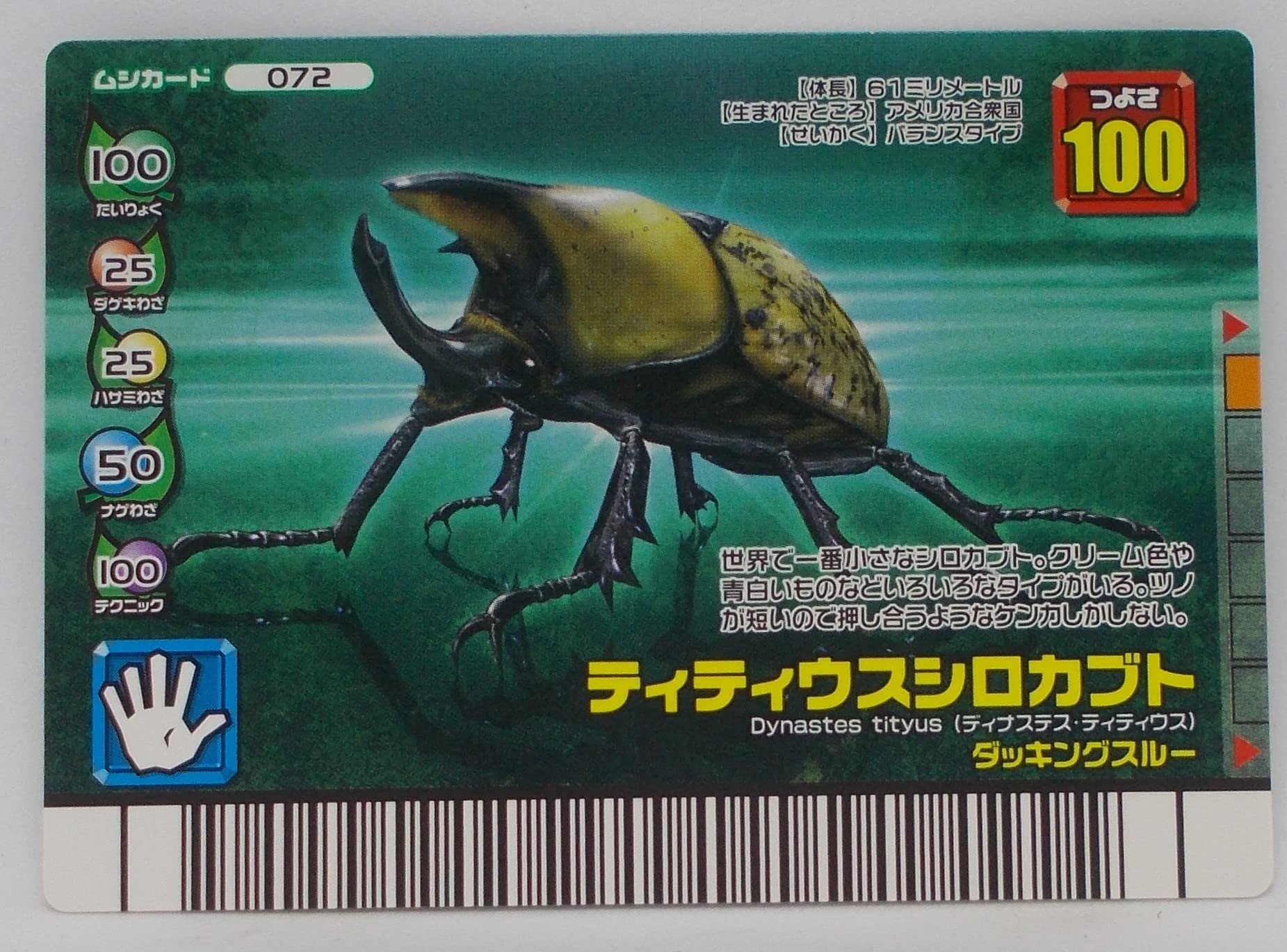 Amazon | 【072-フォレストグリーン】ティティウスシロカブト／甲虫