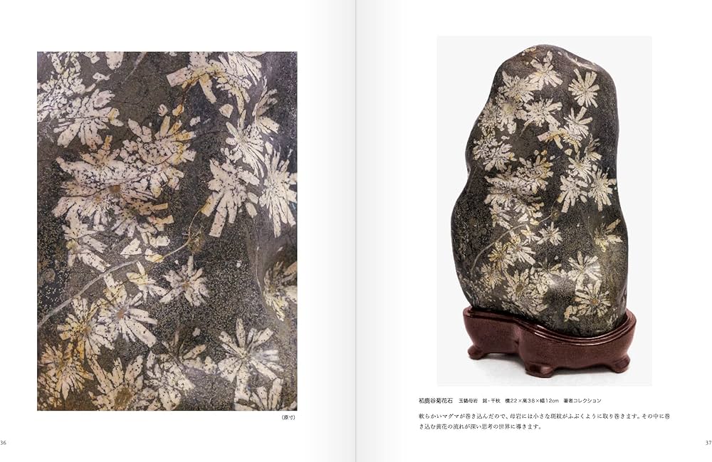 NEO菊花石 | 石原 宣夫 |本 | 通販 | Amazon