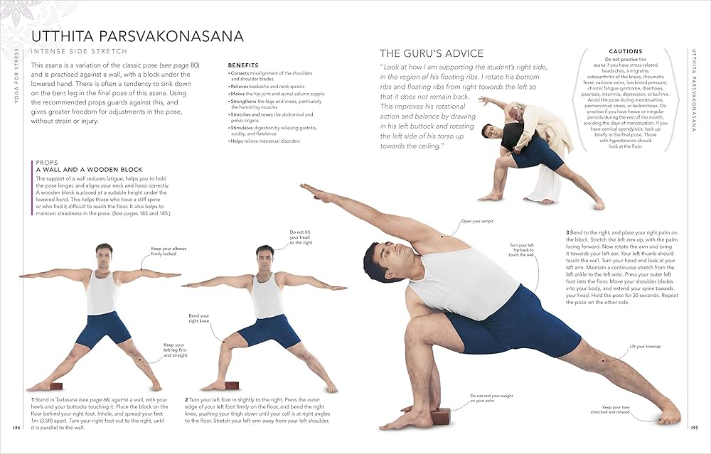 Amazon.com: B.K.S. Iyengar Yoga The Path to Holistic Health: The