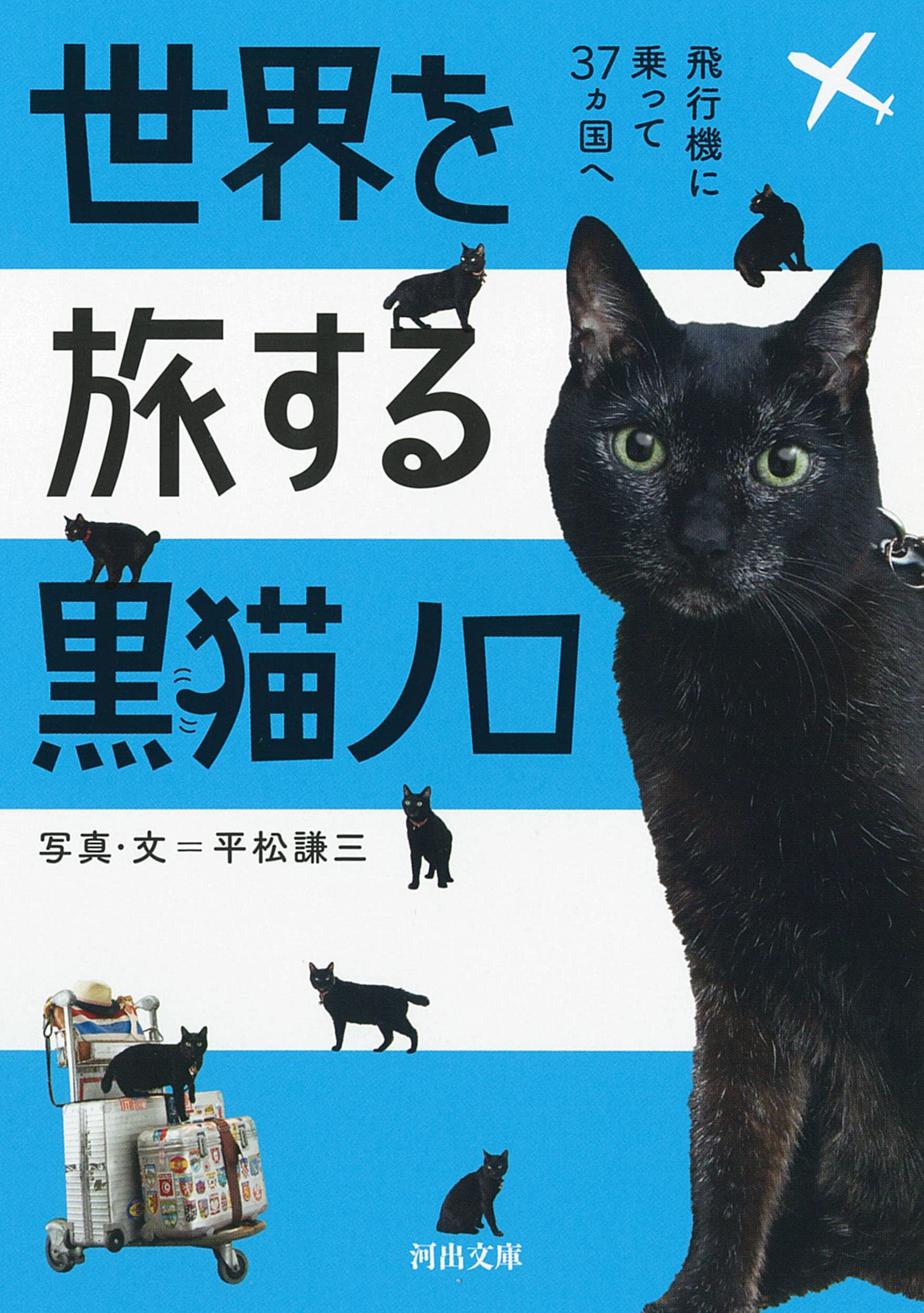 世界を旅する黒猫ノロ : 飛行機に乗って37ヵ国へ (河出文庫) | 平松
