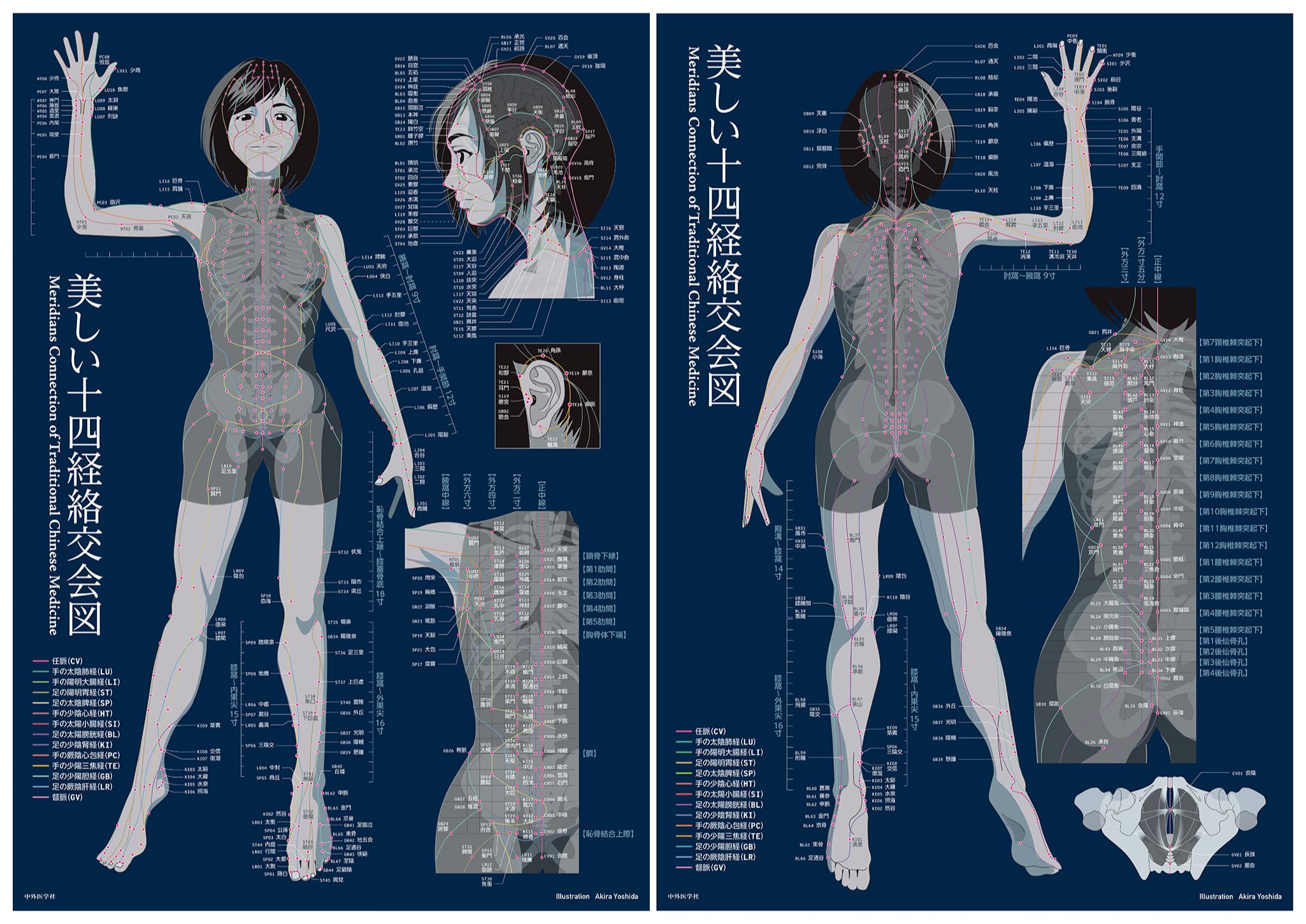 美しい十四経絡交会図 | 吉田 啓 |本 | 通販 | Amazon