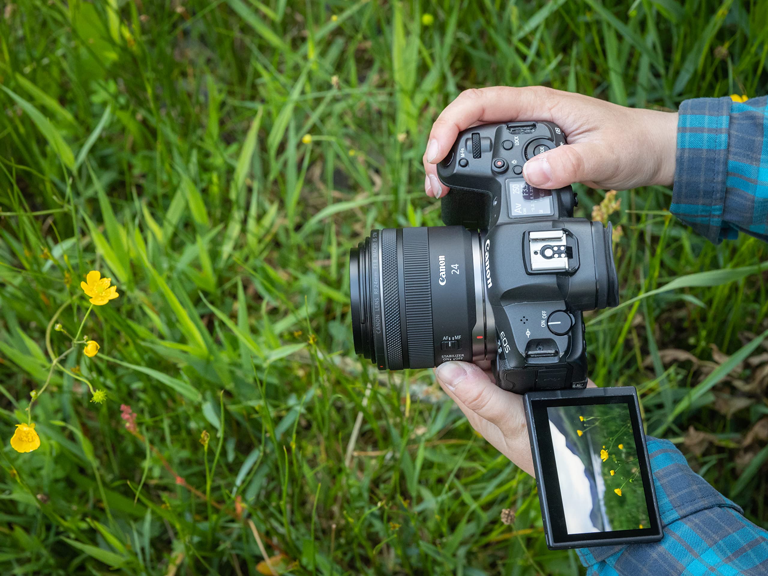 Canon RF 24mm f/1.8 Macro IS STM Lens : Amazon.sg: Electronics