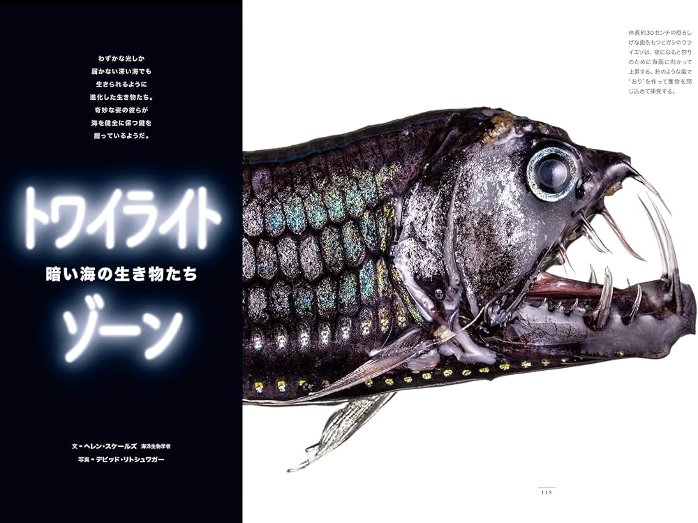 Amazon.co.jp: ナショナル ジオグラフィック日本版 2024年3月号（誌面