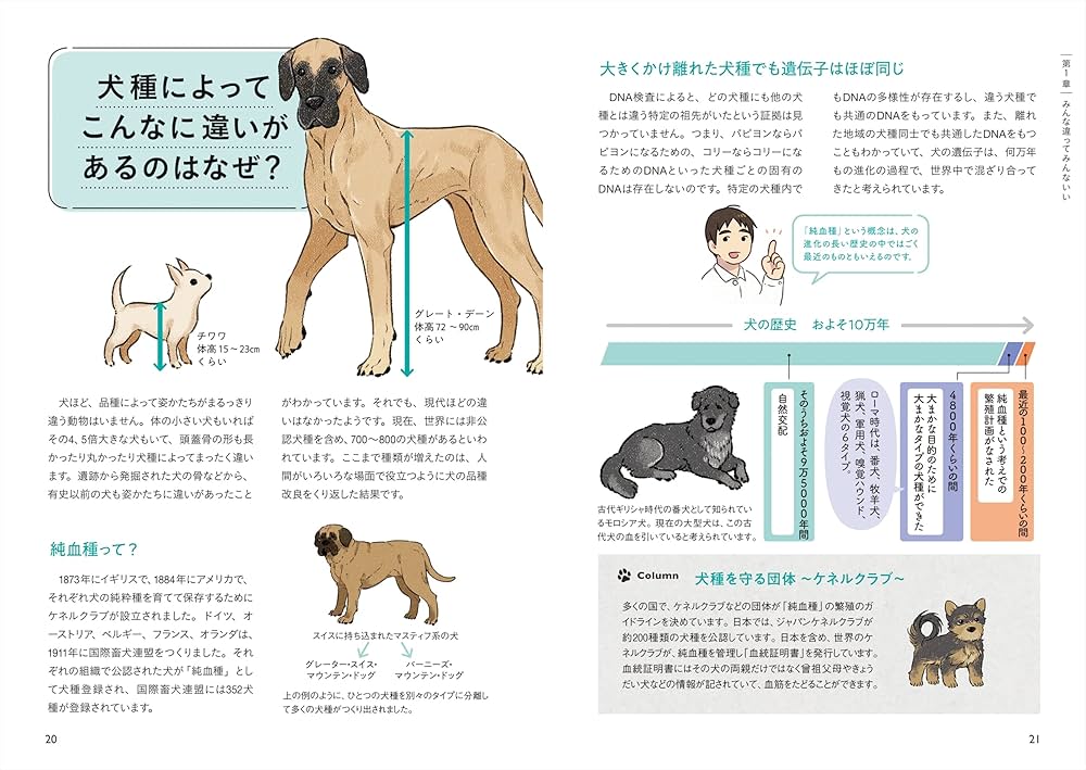 81g3OhT1kfL._AC_UF1000,