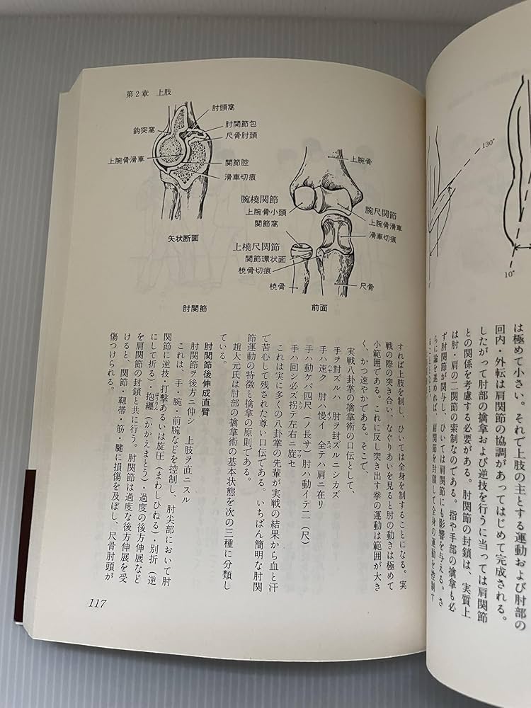 正伝実戦擒拿術: 中国武術関節技のすべて | 佐藤 金兵衛 |本 | 通販