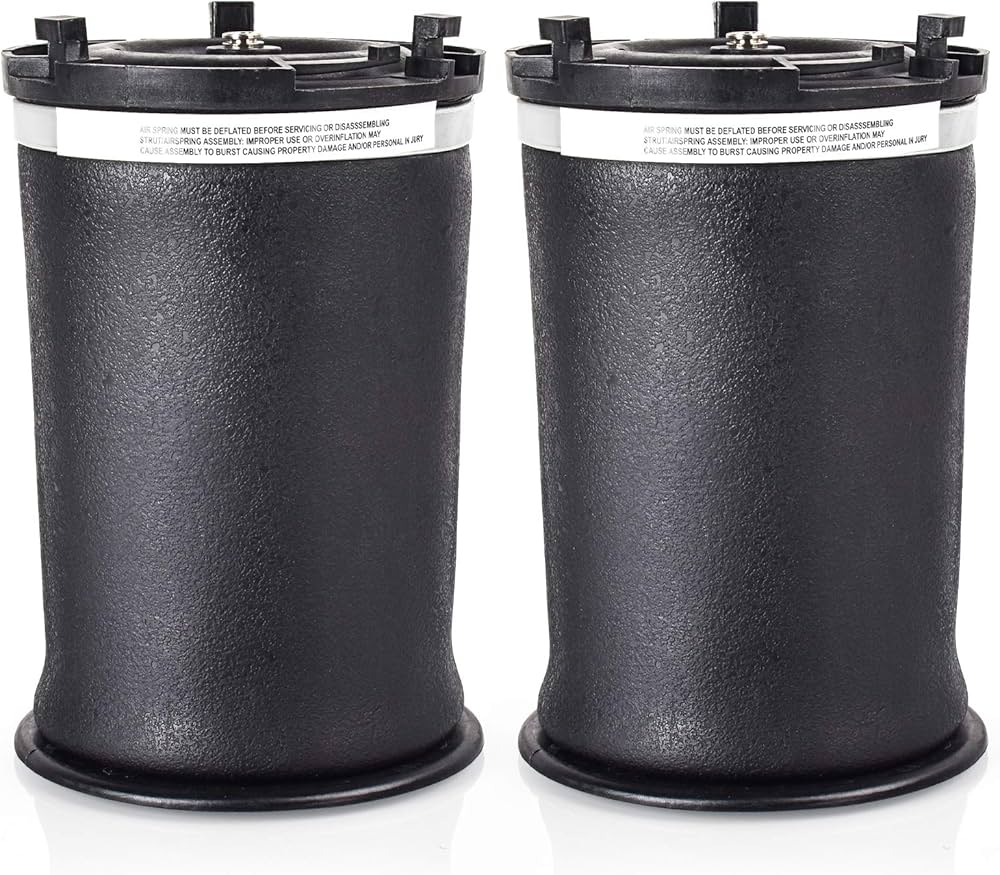 Nifeida 2 Pcs Air Suspension Rear Air Spring Compatible with