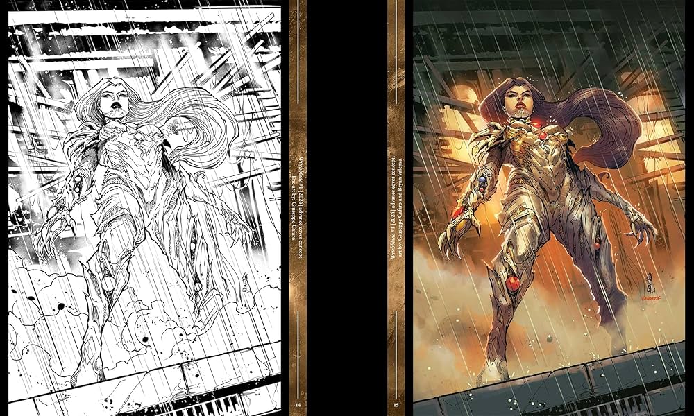 Amazon.com: The Art of Top Cow: Legacy: 9781534328167: Silvestri