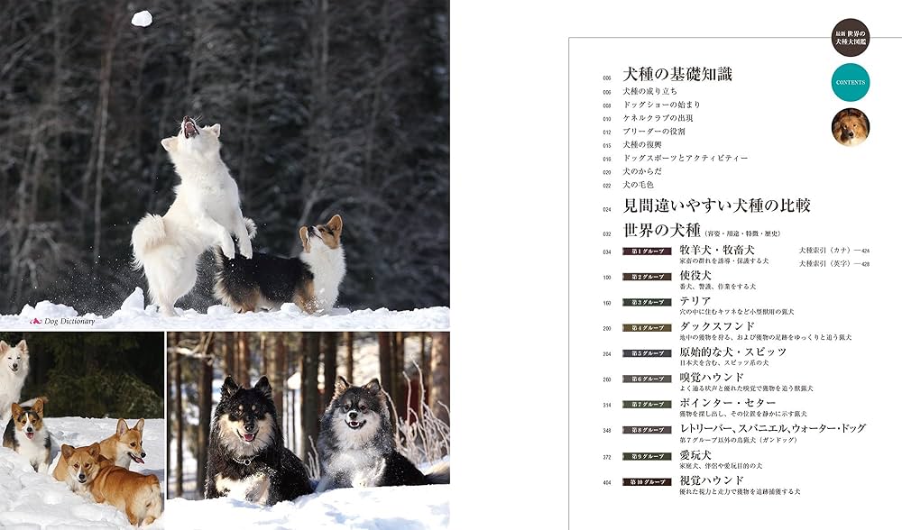最新 世界の犬種大図鑑: 原産国に受け継がれた420犬種の姿形 | 藤田