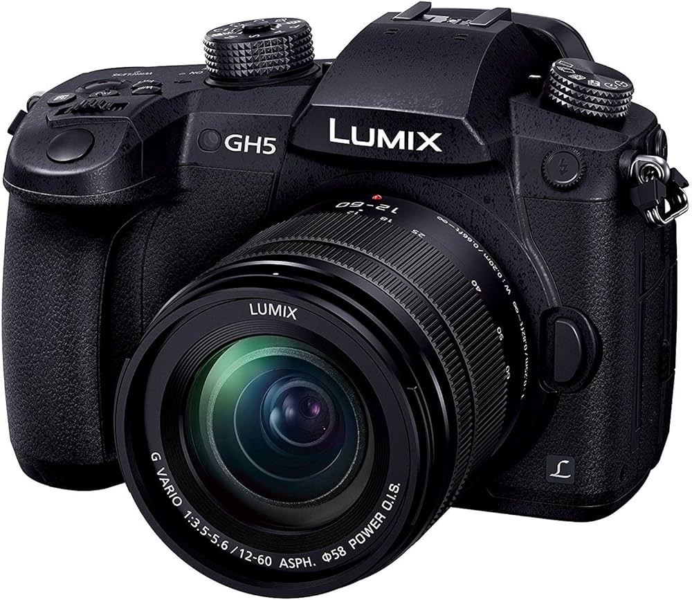 Amazon.co.jp: Panasonic Lumix Mirrorless Single Lens Camera GH5