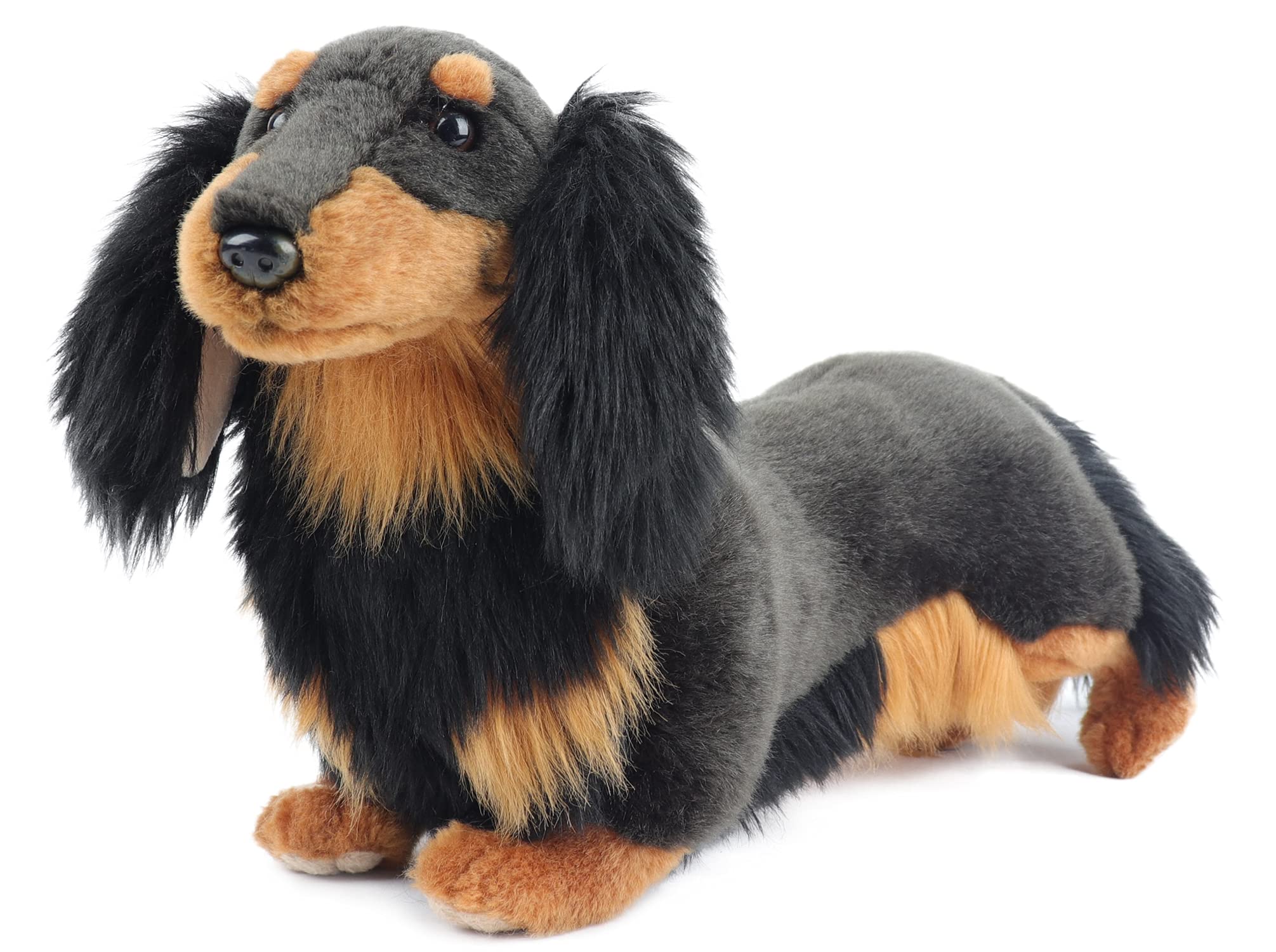 Amazon.co.jp: My Dog ミニ ダックスフンド ロングヘア ブラック