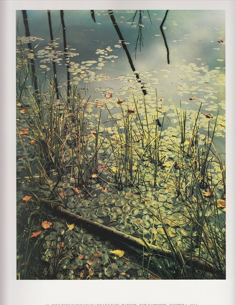 Amazon | Eliot Porter | Porter, Eliot | Equipment