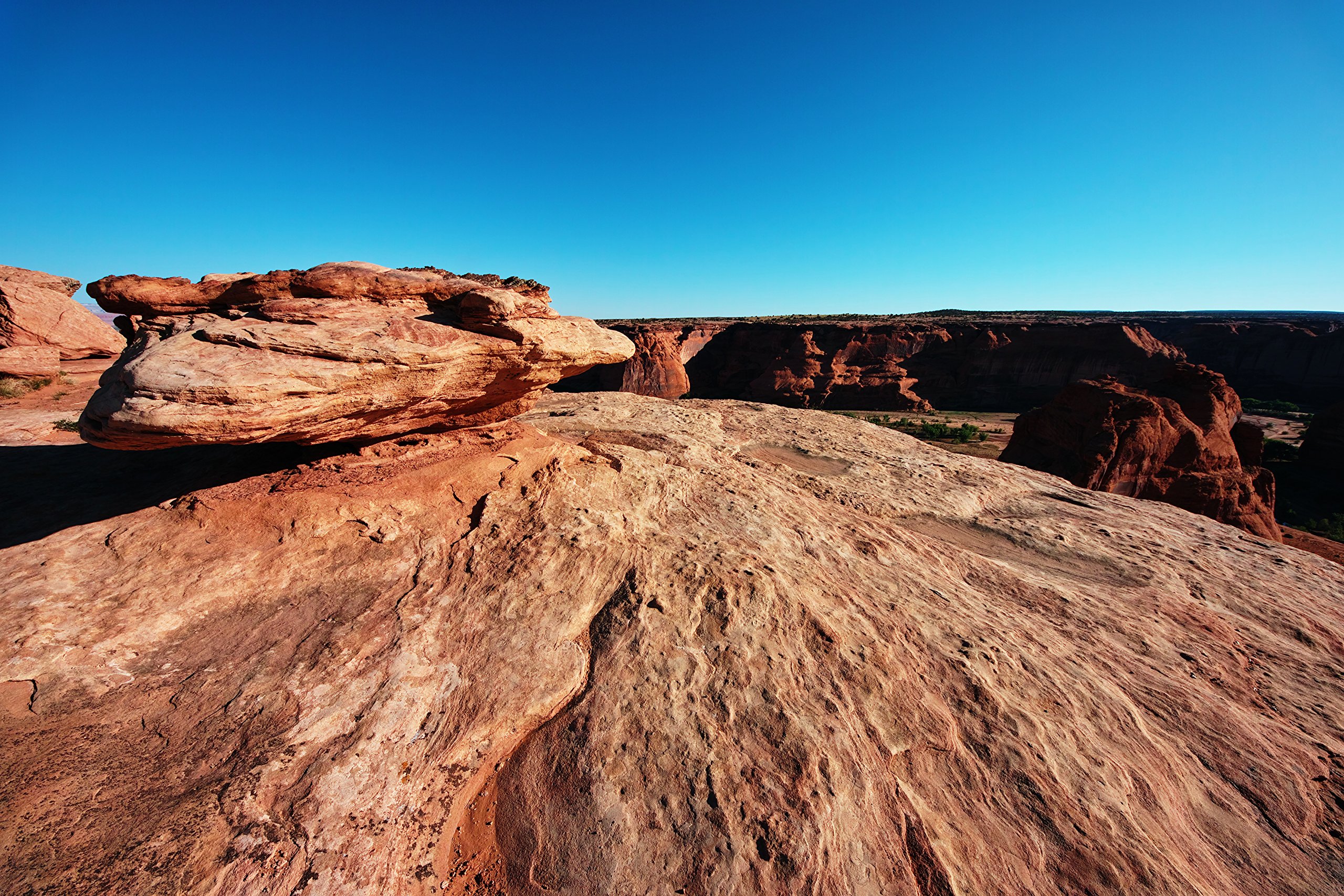 Amazon | SIGMA 広角ズームレンズ 8-16mm F4.5-5.6 DC HSM シグマ用