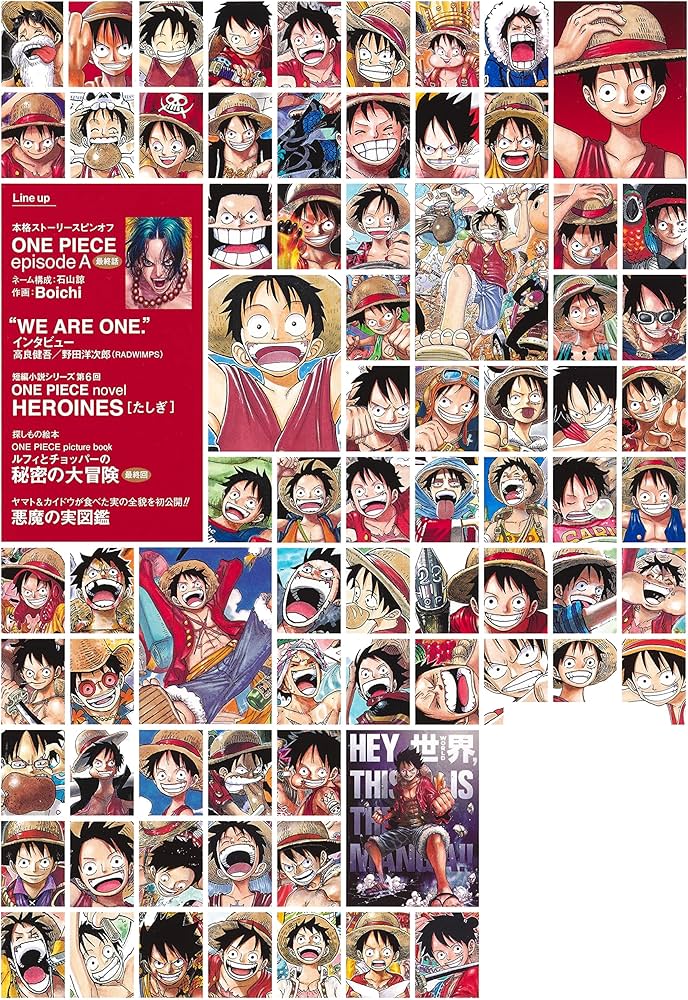 Amazon.co.jp: ONE PIECE magazine Vol.13 (集英社ムック) : 尾田