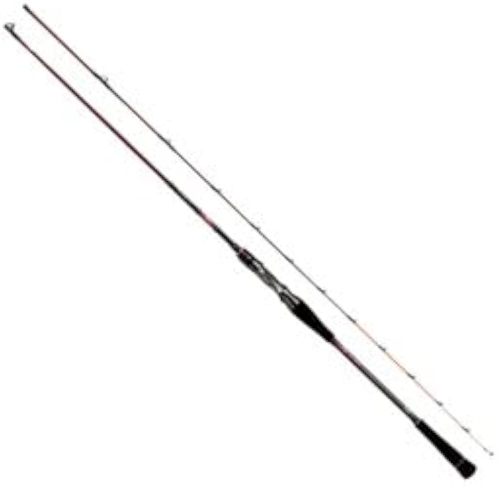 Amazon | ダイワ(DAIWA) 紅牙EX 磯竿 N65LB TG | ダイワ(DAIWA) | 磯竿