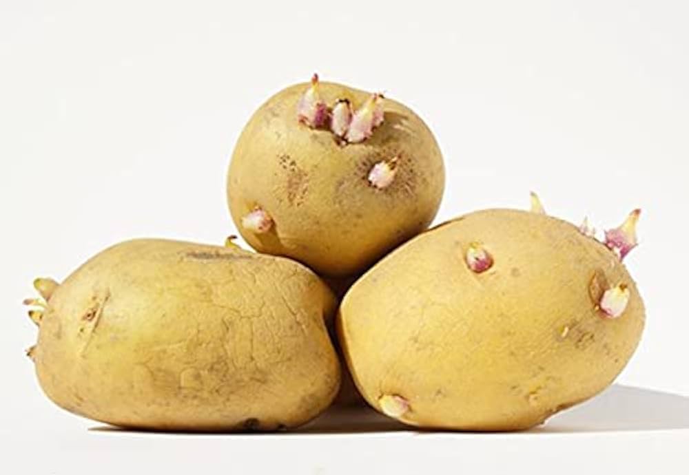 Amazon.co.jp: 種芋 インカのめざめ 北海道産 じゃがいも 5kg（正規品