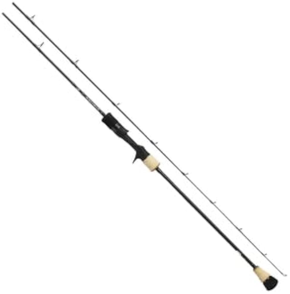 Amazon | ダイワ(DAIWA) スロージギングロッドロッド SALTIGA SJ 61B-1