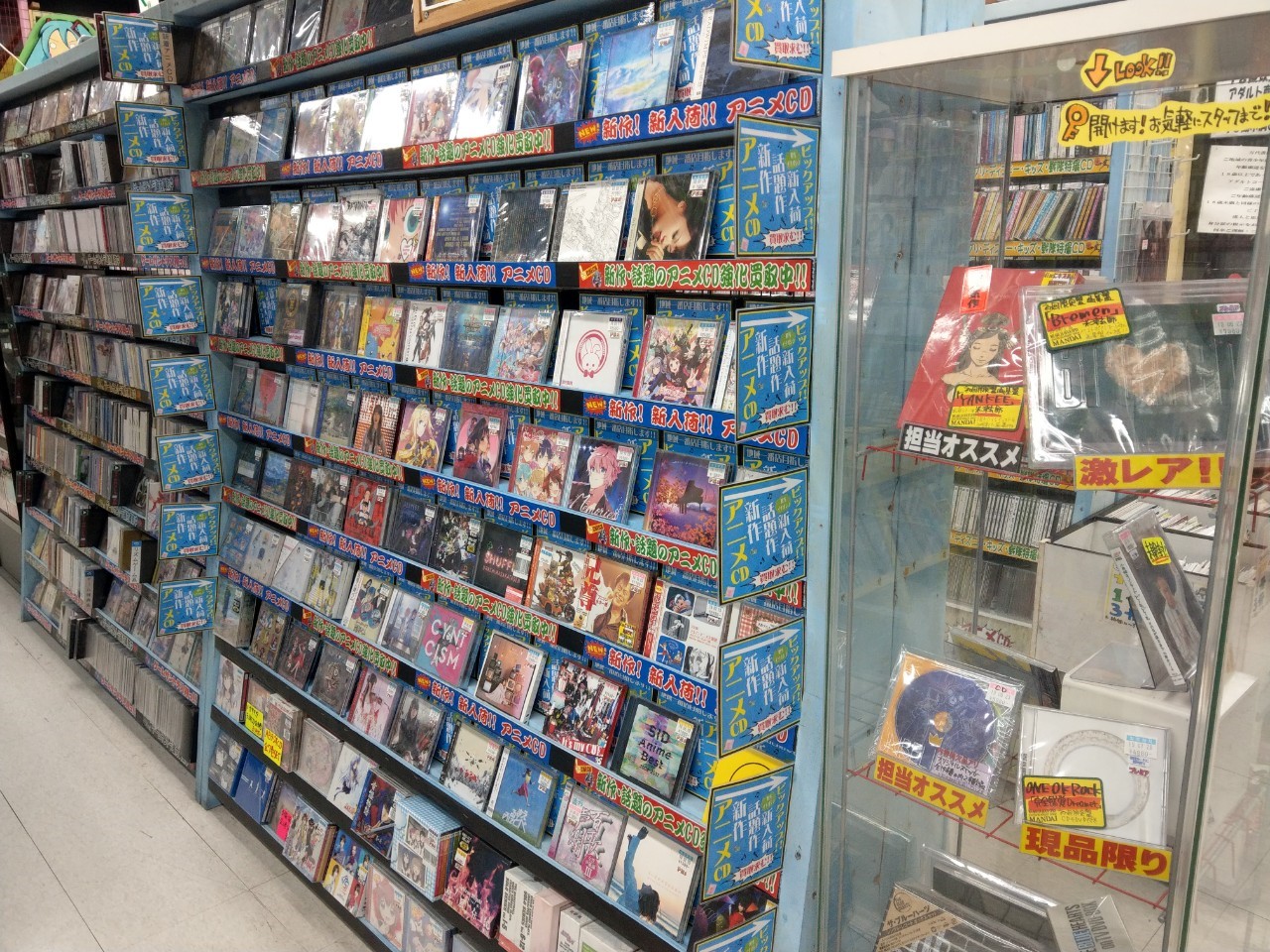 CD/DVD】10/24□入荷情報です！◇Official髭男dismの最新作『Traveler