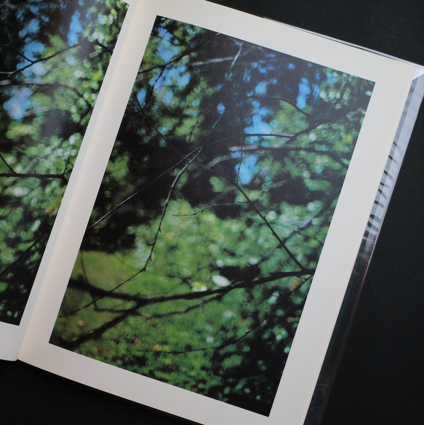 Hunter Green - Terri Weifenbach