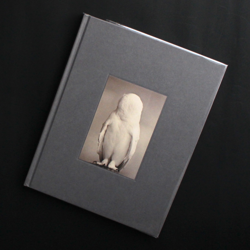 Tori - 山本 昌男 / Masao Yamamoto