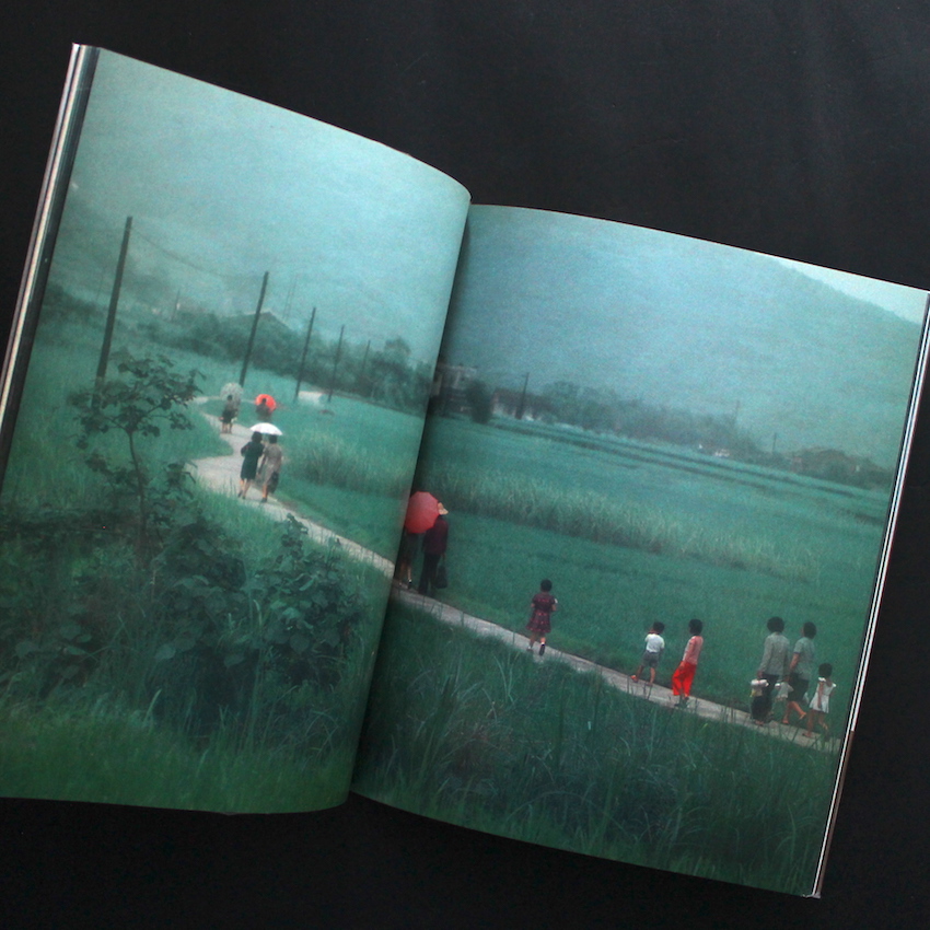 南冥 / Nanmei - 藤原 新也 / Shinya Fujiwara