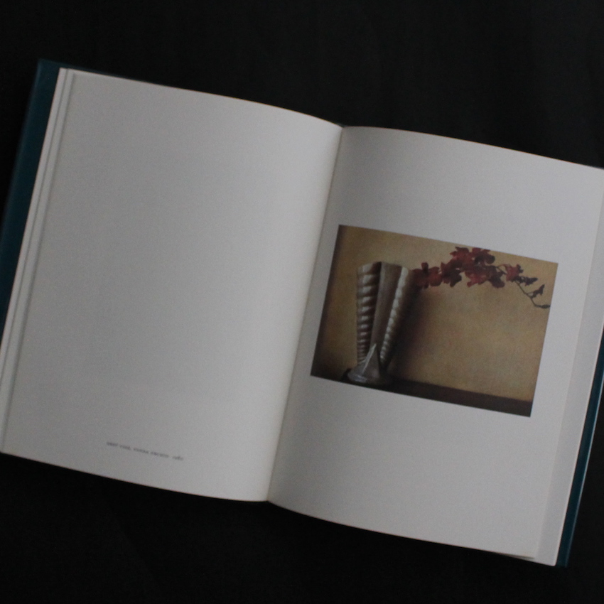 Color - Sheila Metzner