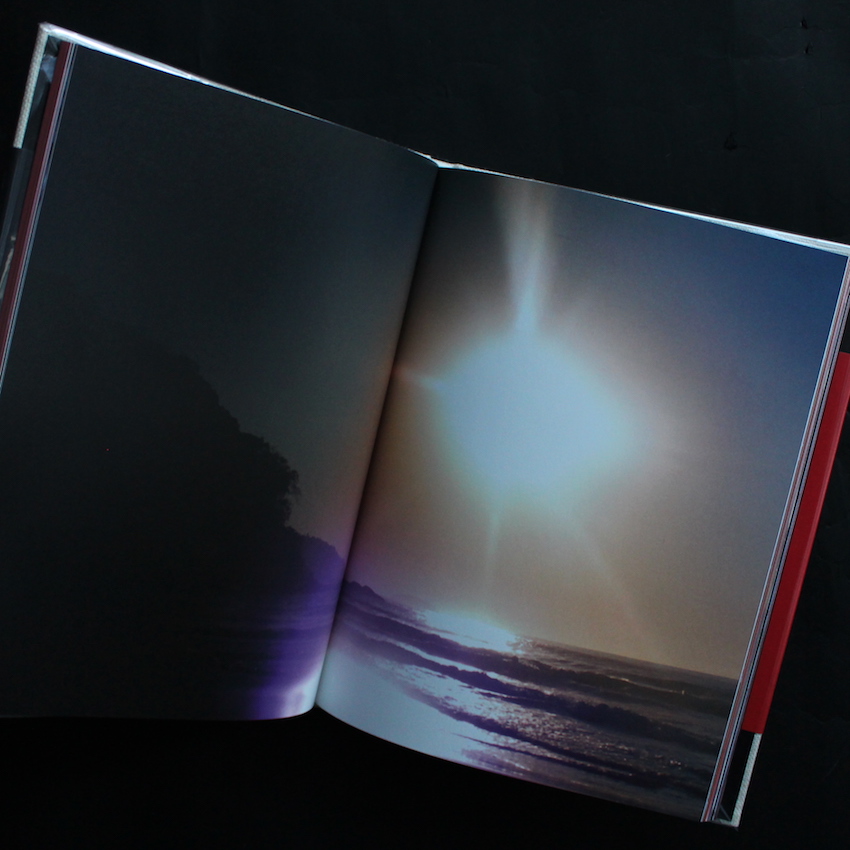 Abandom Reverie - Mark Borthwick