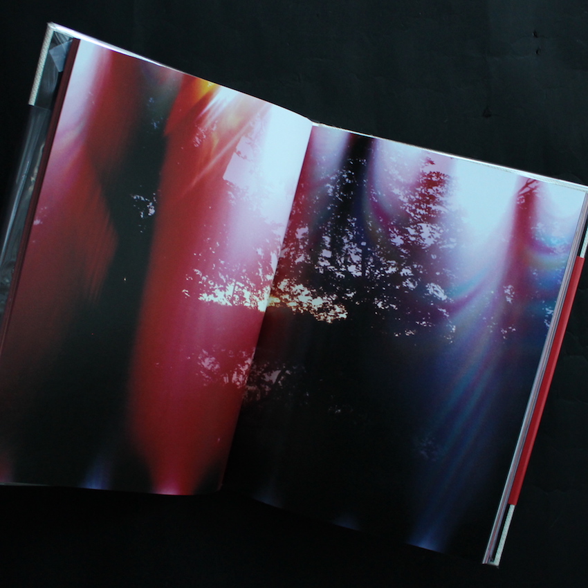 Abandom Reverie - Mark Borthwick