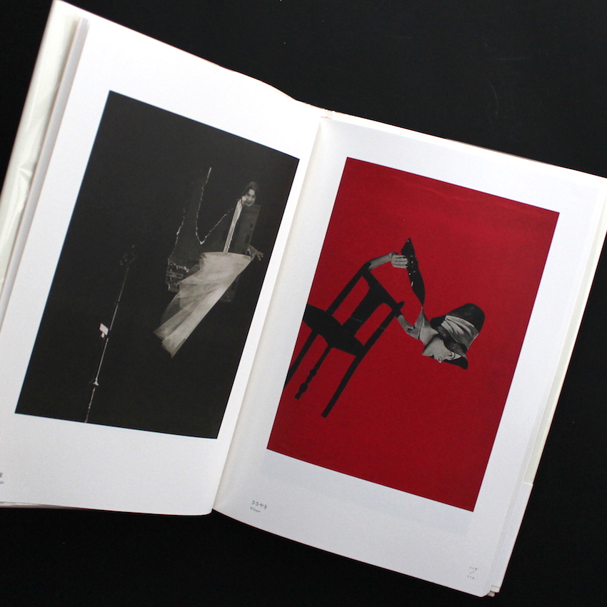 岡上淑子全作品 / The Complete Works of Toshiko Okanoue - 岡上 淑子