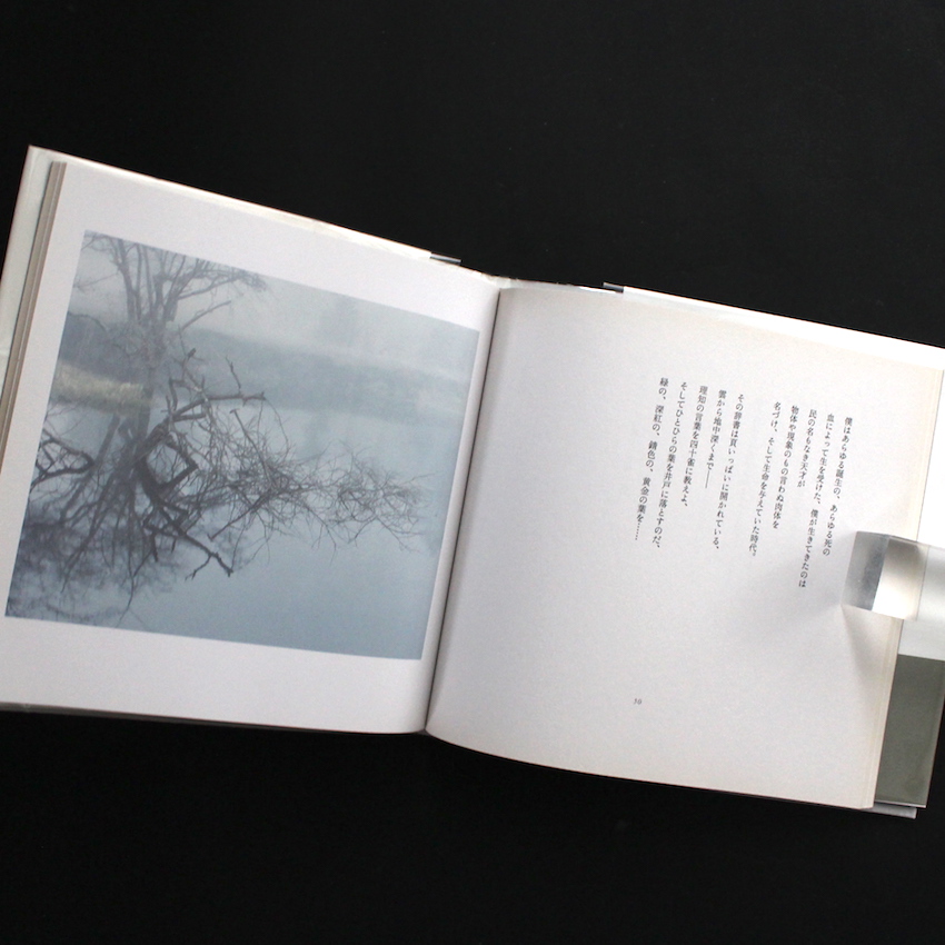 白い、白い日 -アルセーニイ・タルコフスキー詩集 - 鈴木 理策 & 前田