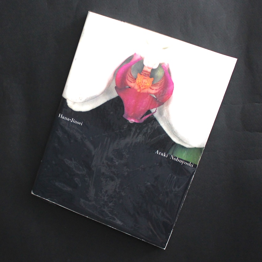 帰途 / Kito - 富谷 昌子 / Masako Tomiya