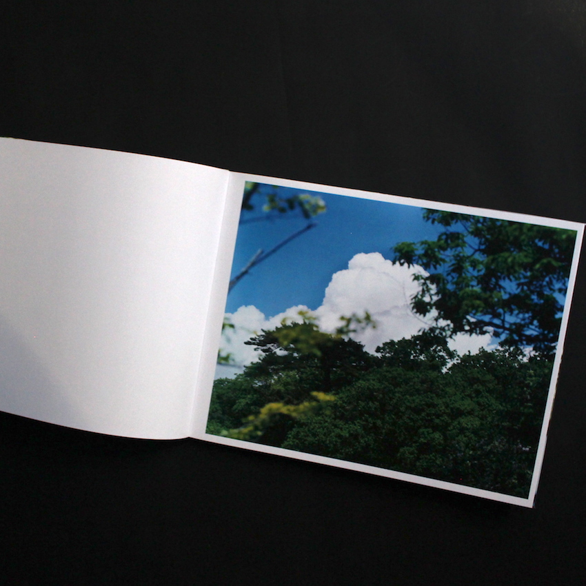 Water Mirror - 鈴木 理策 / Risaku Suzuki