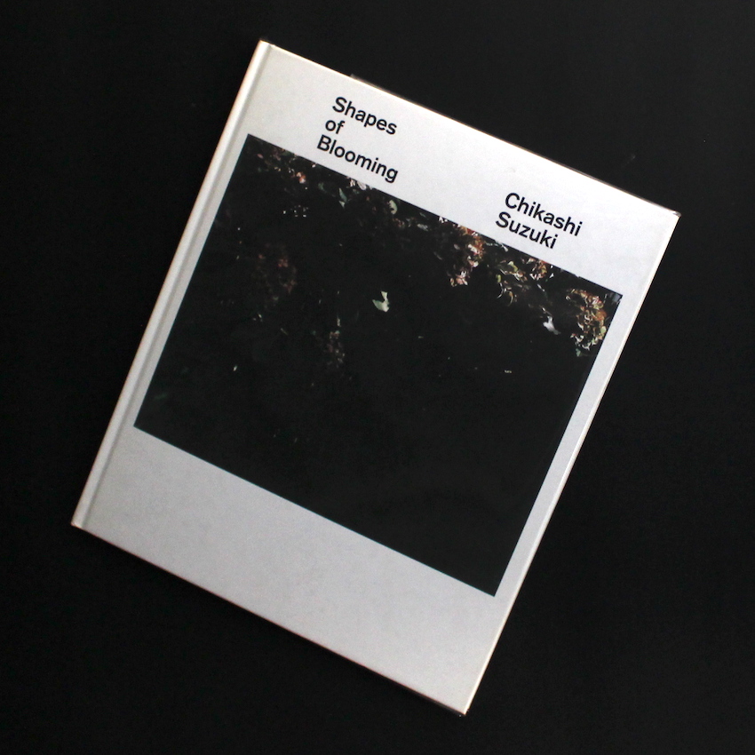 Shapes of Blooming（Signed） - 鈴木 親 / Chikashi Suzuki