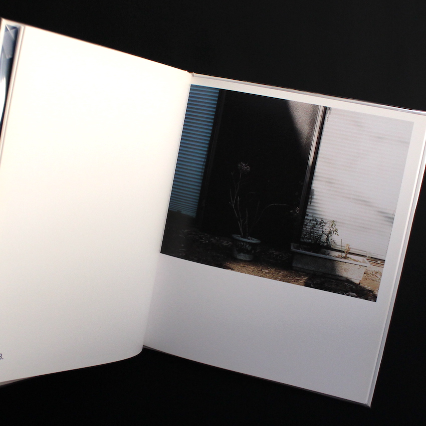 Shapes of Blooming（Signed） - 鈴木 親 / Chikashi Suzuki