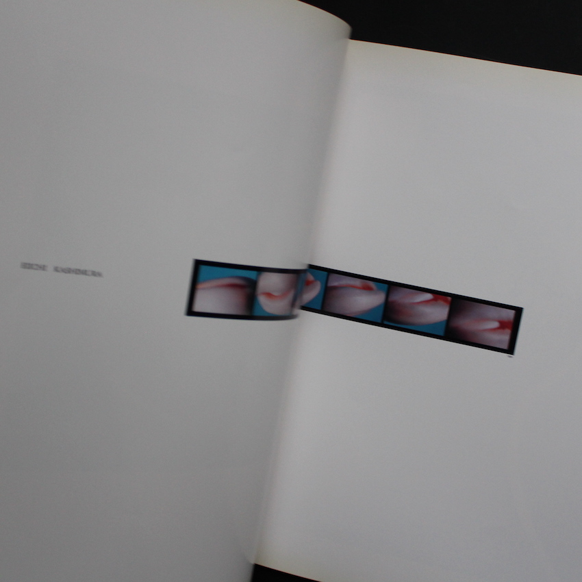 Hysteric No.2 Self - Portrait 1991