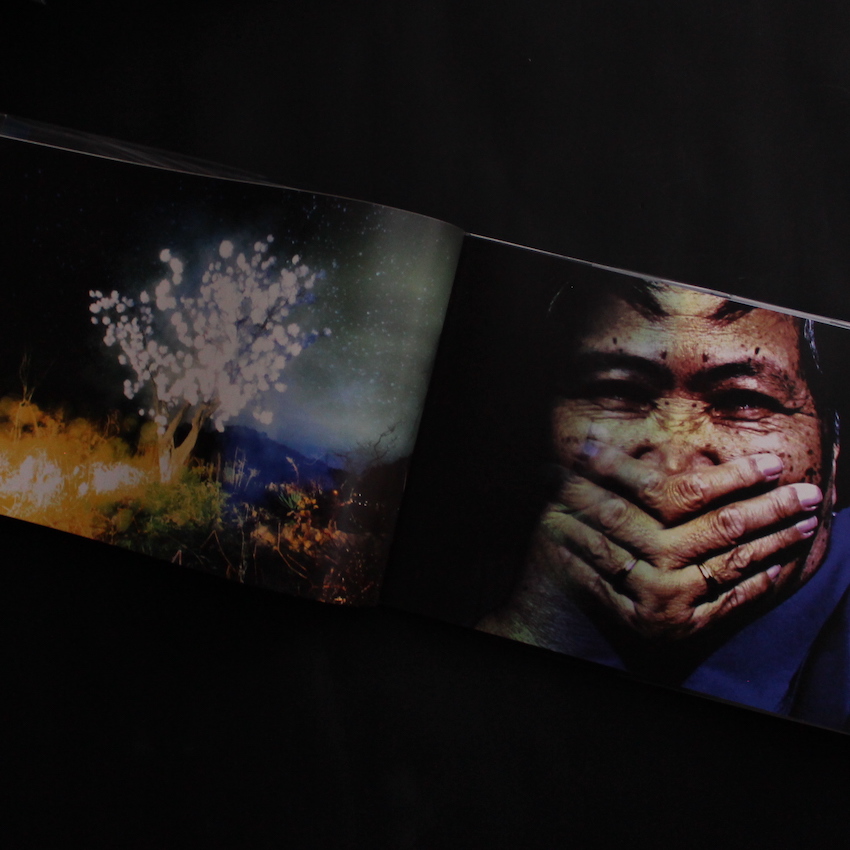 カナリア / Canary - 志賀 理江子 / Lieko Shiga