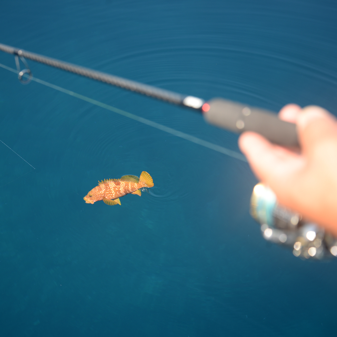 グッドリッジ | ソルトルアーブランド【MAGBITE】