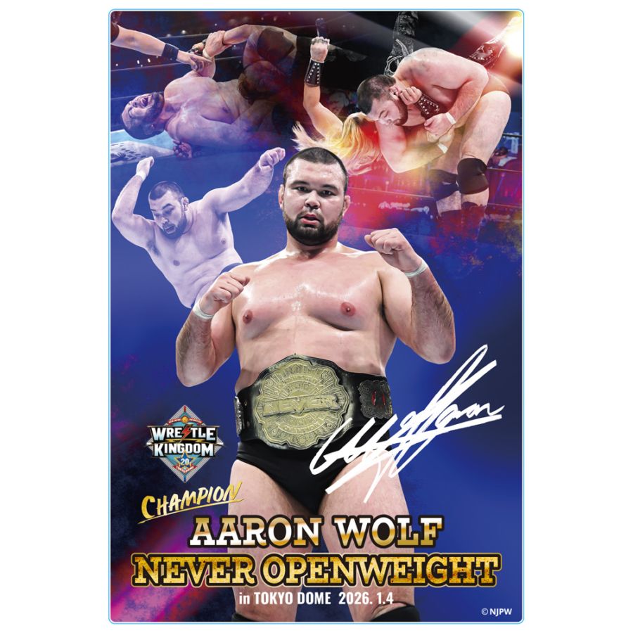 シンニチプレミアム-雑貨