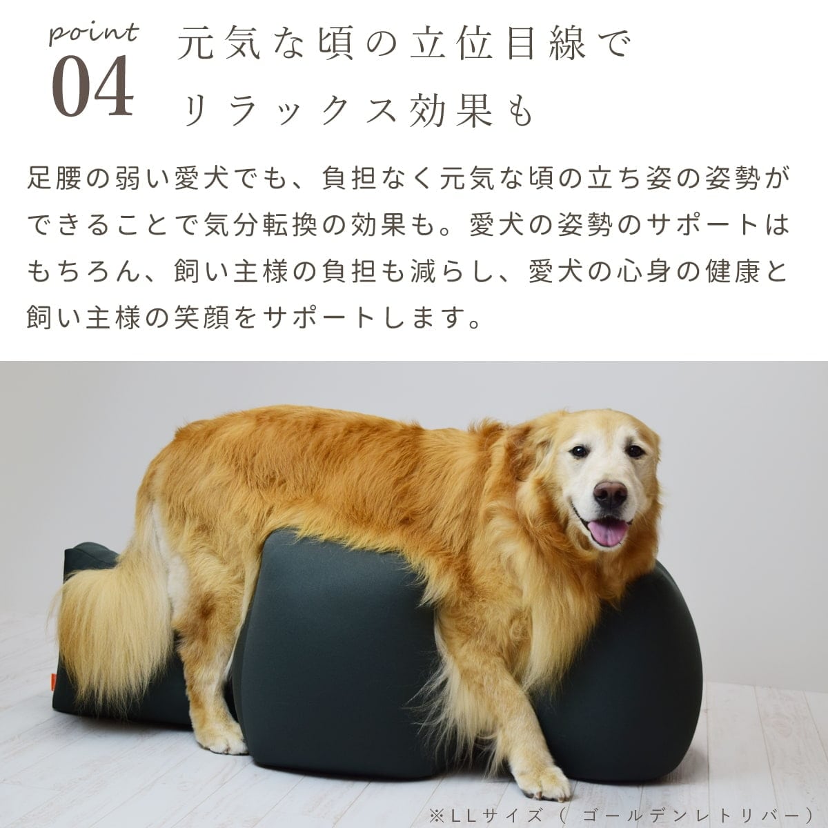 犬 介護 クッションならリラクッション｜老犬の寝たきり・床ずれ防止