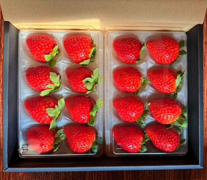 中里苺園 ギフトBOX （中）紅白 | とちぎの食から探す,いちご・いちご