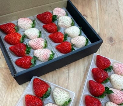 中里苺園 ギフトBOX （中）紅白 | とちぎの食から探す,いちご・いちご