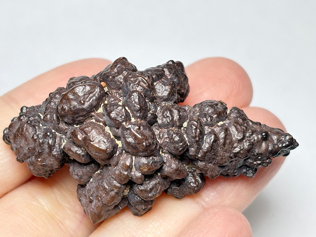 エジプトの星 ゼットストーン (プロフェシーストーン) / Prophecy Stone