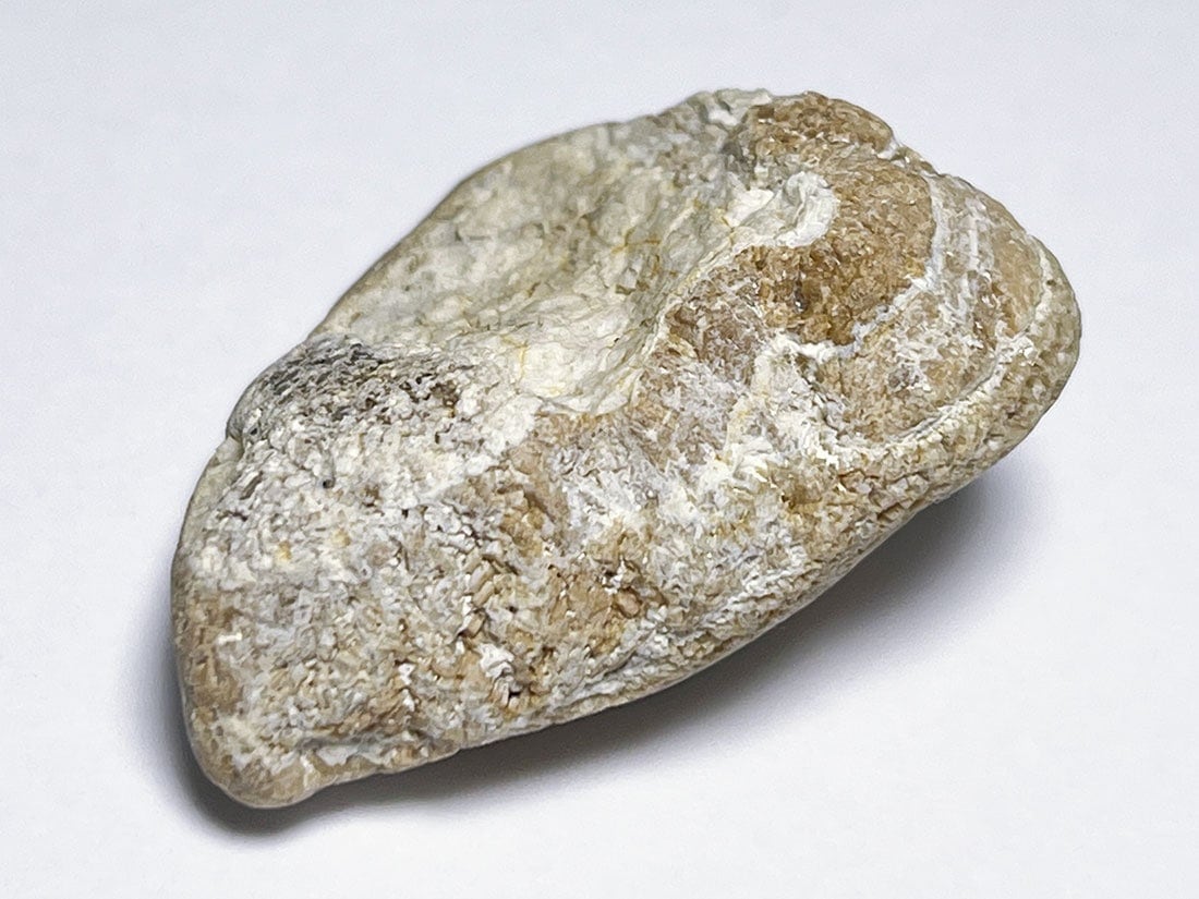 秋田県仙北市田沢湖町玉川温泉産 北投石結晶 (含鉛重晶