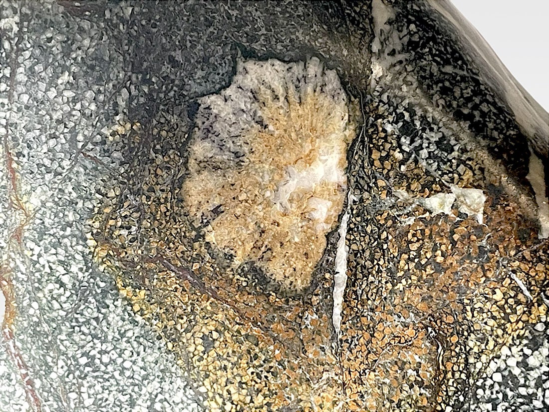 岐阜県根尾谷産 大型 天然 菊花石 (木製台座付き)