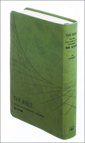 新共同訳聖書（旧新約） NI55HV 中型(B6判) ハーフボリューム 合成皮革