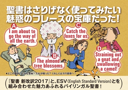 バイリンガル聖書［旧新約］（新改訳2017／ESV） （1250）（いのちの