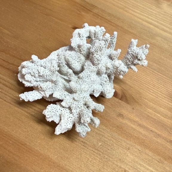 パラワンサンド NO.0 2kg【薬品不使用。オカヤドカリドライ飼育に