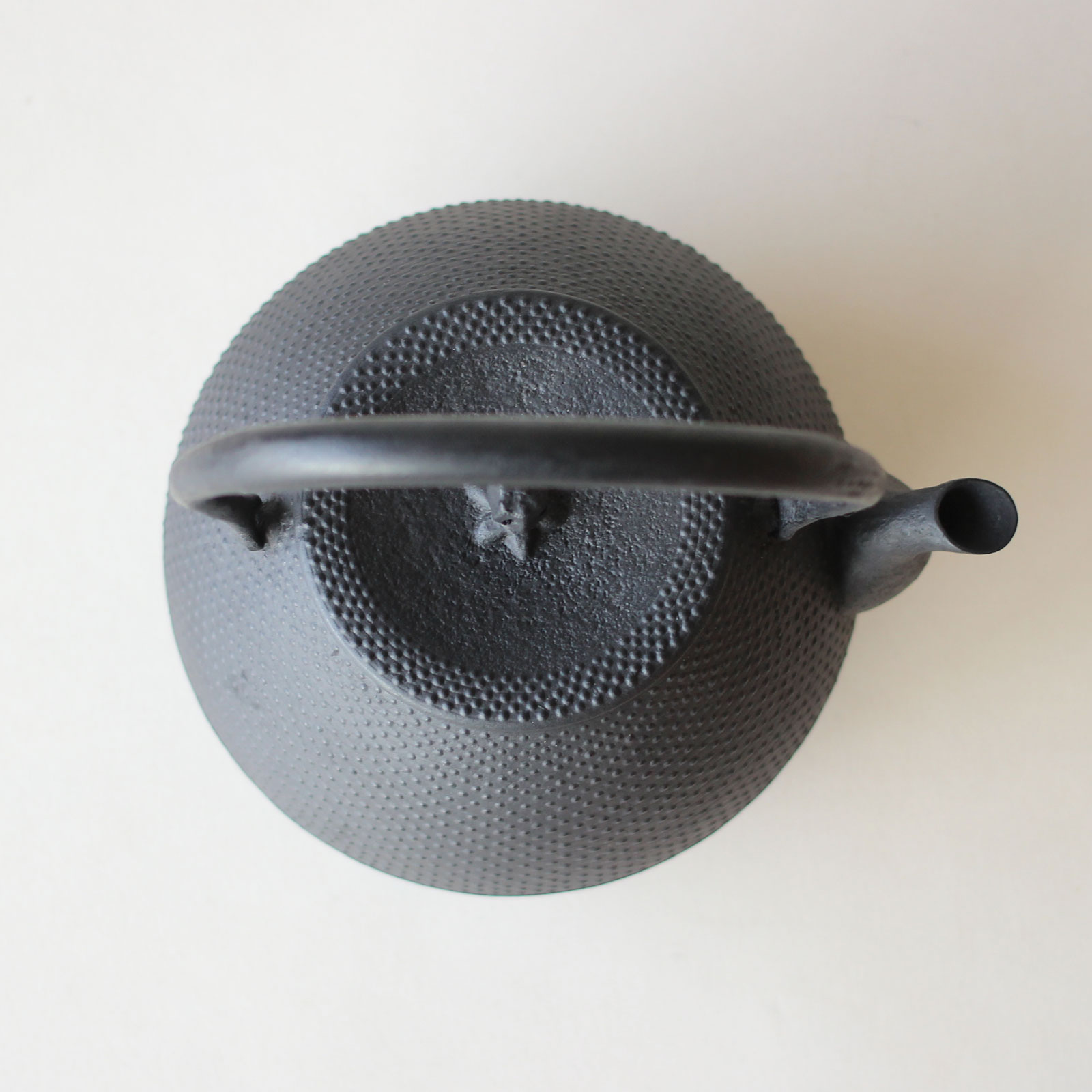 釜定の鉄瓶 「秋の実 あられ」 | zuiun onlineshop